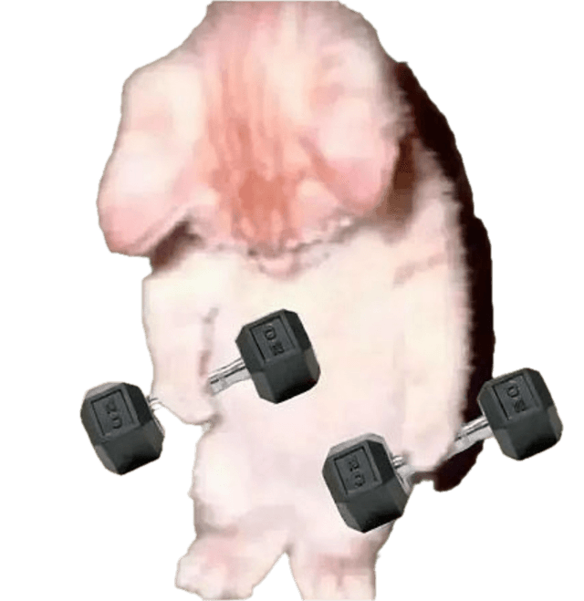 a cat holding dumbells