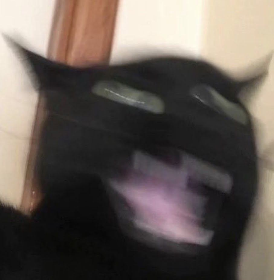 a cat screaming