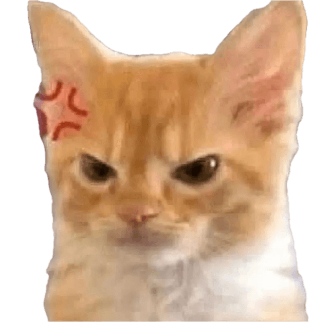 an angry cat