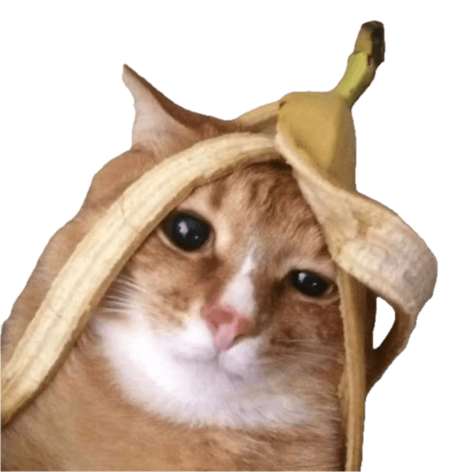 a silly cat with a banana on its head