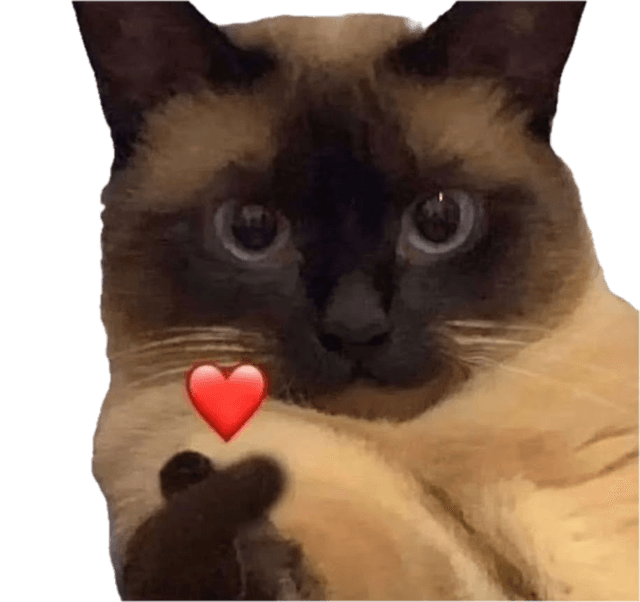 a cat with a korean finger heart