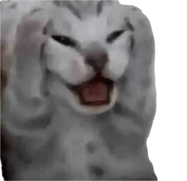 a cat basically saying oh nooo with its paws on its face