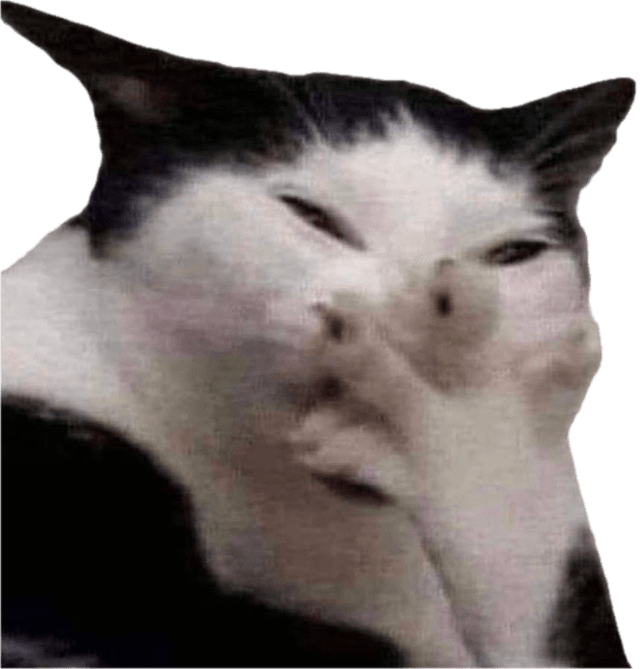 cat with paw in face laughing