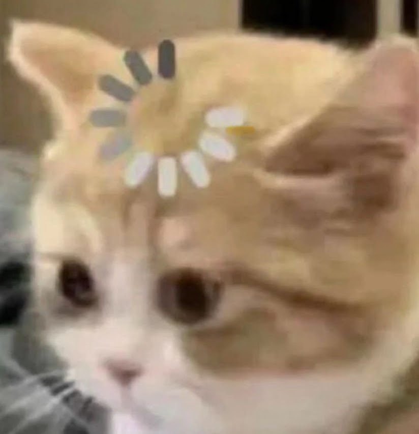a cat with a loading wheel on its head