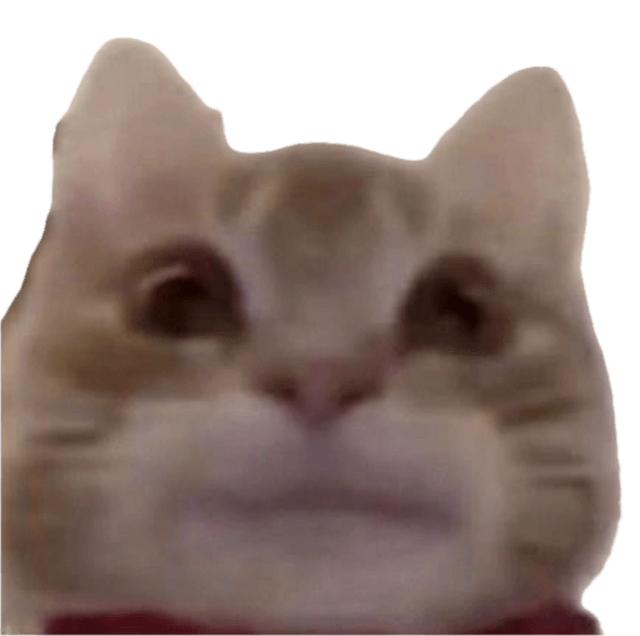 a cat semi-smiling, no thoughts head empty