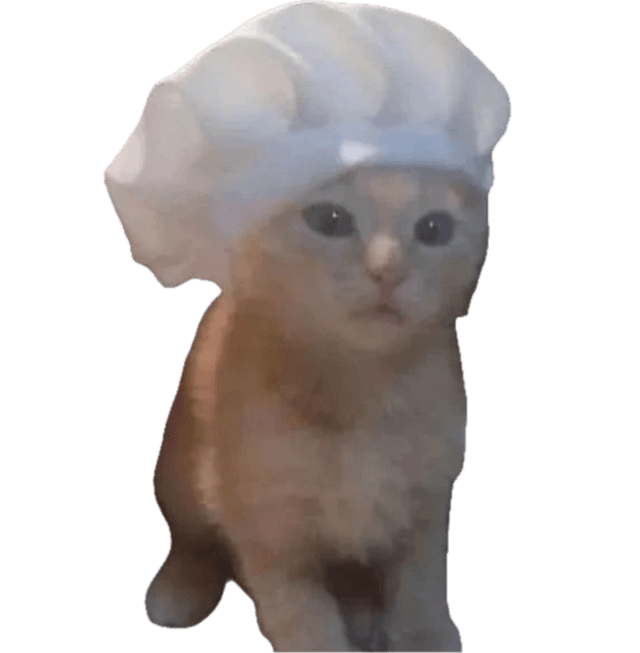the assistant chef cat with a hat